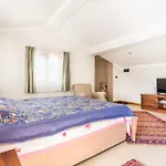 Villamavi &ANI